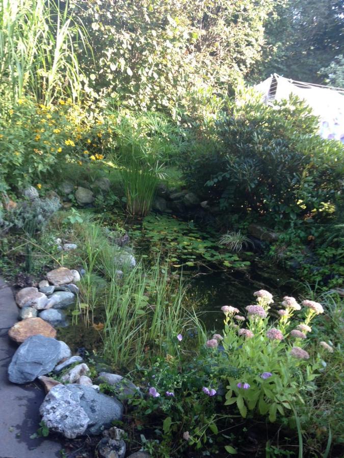 Ruhige Wohnung Mit Schoenem Eigengarten In Seeboden Am Millstaettersee Dış mekan fotoğraf