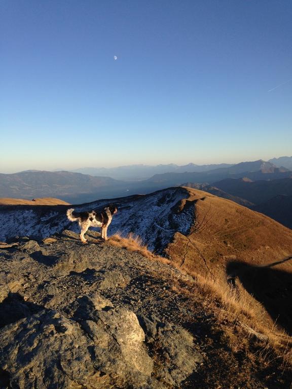 Ruhige Wohnung Mit Schoenem Eigengarten In Seeboden Am Millstaettersee Oda fotoğraf
