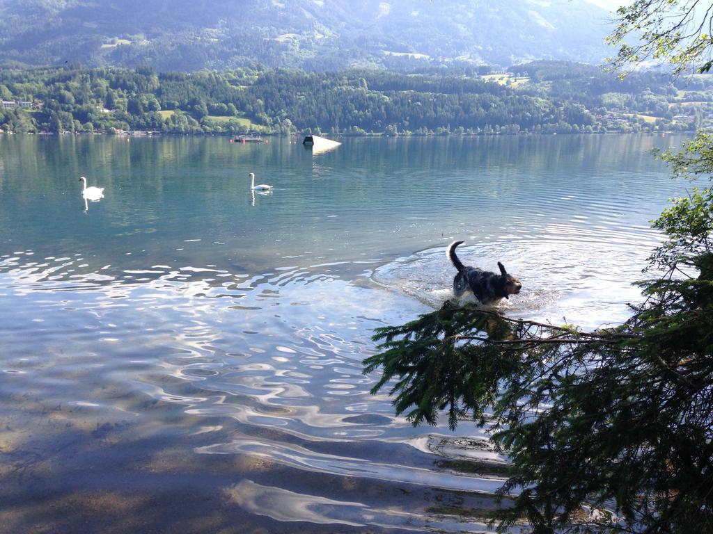 Ruhige Wohnung Mit Schoenem Eigengarten In Seeboden Am Millstaettersee Oda fotoğraf