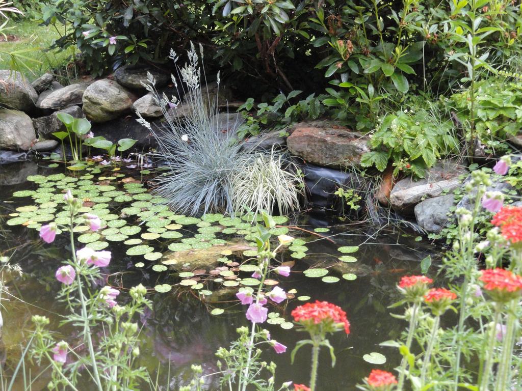 Ruhige Wohnung Mit Schoenem Eigengarten In Seeboden Am Millstaettersee Dış mekan fotoğraf